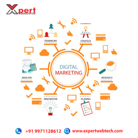 SEO & Digital Marketing Company in Greater Noida