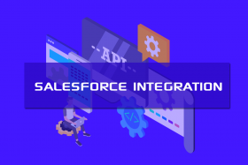 Salesforce Integration Training-Salesforce Integra