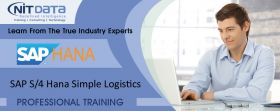 SAP Simple Logistics Online Training in USA, UK, C