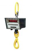 High quality cheap crane digital weighing scale 