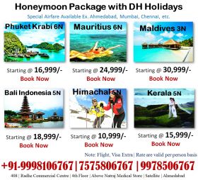 Holidays Package