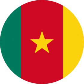 Send Money to Cameroon