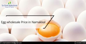 Egg Wholesale Price in Namakkal | Egg Wholesalers 