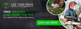 Axe Tree Pros | Affordable Tree Removal and Trimmi