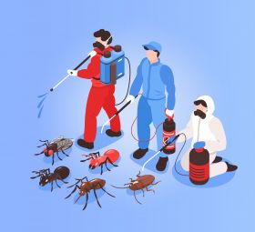 Pest Control Services in Meerut