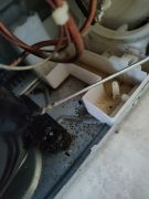 Stove & cooktop repair