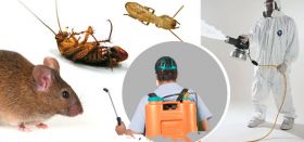 Insect Control Service, Cockroach (Ants) Control 