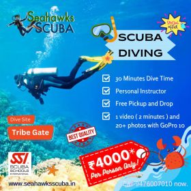 Scuba dive light package