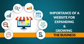 Website Design Service