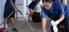 Carpet Cleaning - Wellington