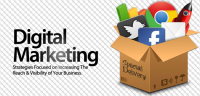 DIGITAL MARKETING TRAINING