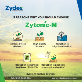 Zytonic-M - Micorrhiza Biofertlizer