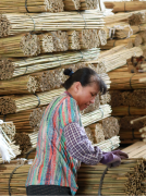 Bamboo Canes Manufacturer and Supplier