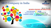 SEO Service in India