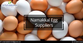 Namakkal Egg Suppliers | Namakkal Egg Dealer - Sel