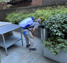 Residential Pest Control