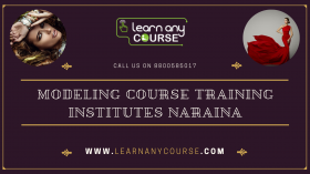 Modeling Course Training Institutes Naraina