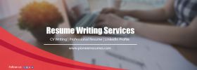 Pioneer Resumes Writing Services