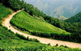 Kerala tour packages