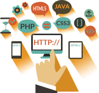 Web Development in India