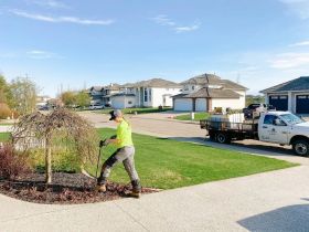 edmonton arborist