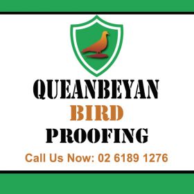 Queanbeyan Bird Proofing