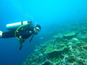 Scuba Diving in Goa