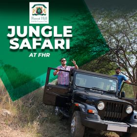 Jungle Safari