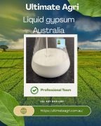 Liquid Gypsum 