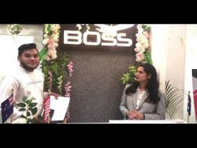 Boss Consultant - Study Visa Consultant Chandigarh