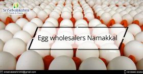 Egg Wholesalers Namakkal | Egg Wholesale Price in 