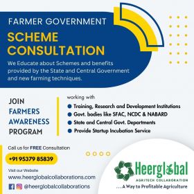 Government Scheme Consultation