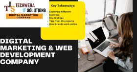 Techwera IT Solutions- Digital Marketing Company