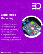 Social Media Marketing Services