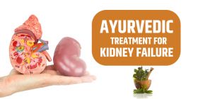 Ayurvedic Kidney Treatment