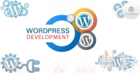 Wordpress Website Development