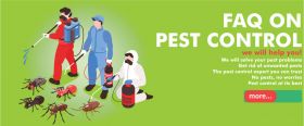 pest control services in hyderabad