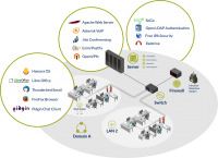 Networking and Security Assessments