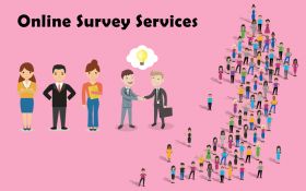 Online Survey Services