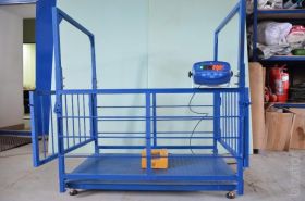 500kg electronic animal floor cattle scales