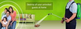 Residential Pest Control Services in India