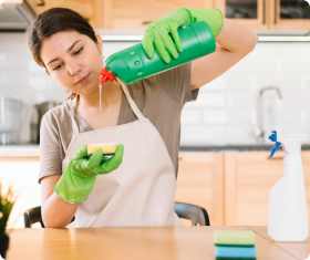 House Cleaning Company In Sydney 
