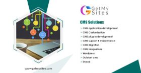 CMS Development Services