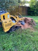 Professional Stump Grinding Auckland - Experienced