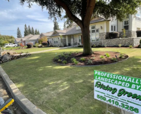 Rising Green Inc Tree & Landscaping