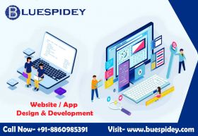 Take Your Offline Business Online with Bluespidey