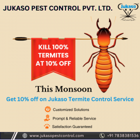 Termites control services