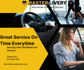 Master Livery Services