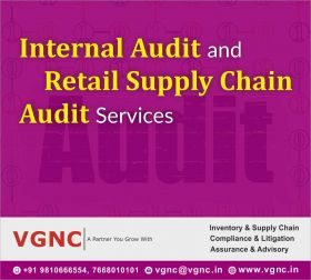 Internal Audit and Financial Advisory Firm