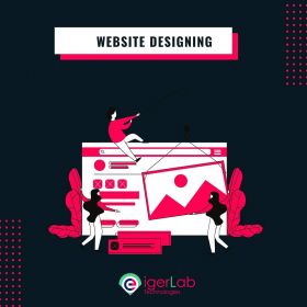 Website Designing Company in Noida